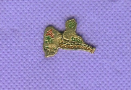 Rare Pins De La Guadeloupe P361 - Steden