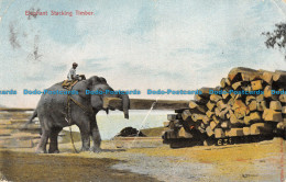 R159235 Elephant Stacking Timber. 1906 - Monde