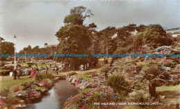 R157754 Pine Walk And Stream. Bournemouth Gardens. Thunder And Clayden. Sunray. - Monde