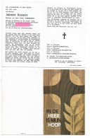 Huvaere Julienne Werbrouck Deblauwe Dedeyghere Wingene 1903 Bidprentje Doodsprentje - Godsdienst & Esoterisme