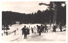 FR66 FONT ROMEU  DESTOCKAGE - Lot De 20 CPSM PF - En Bel état  - Voir Scans Recto Verso - Otros & Sin Clasificación