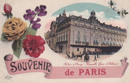 Souvenir De Gare : Paris : Nouvelle Gare D' Orléans - Souvenir De...