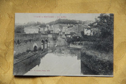 81 - VIVIERS LES MONTAGNES : Vue Du Pont - Andere & Zonder Classificatie