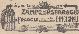 Zampe D'Asparagio F.lli INGEGNOLI - Pubblicità D'epoca - 1930 Vintage Ad - Publicités