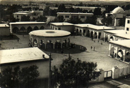 COLOMB BECHAR  L' Ecole Des Filles RV - Bechar (Colomb Béchar)