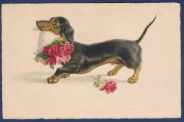 CPA Teckel Dachshund Dackel Circulé - Hunde