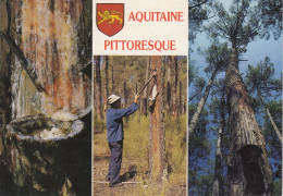 France  Aquitaine Pittoresque - Autres & Non Classés