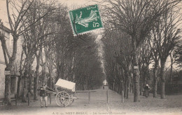 Saint Brieuc (22 - Côtes D'Armor)  Les Grandes Promenades - Charette Du Bazar Parisien - Saint-Brieuc