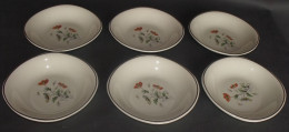 6 Assiettes Creuses En Faïence CÉRANORD ST AMAND - Modèle Anémone - Semi Vitrifié. Epoque De 1909 à 1932,  Art Déco. - Borden