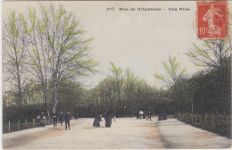 Bois De Vincennes Une Allée - Vincennes