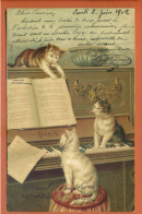 CPA Illustration - Chats Humanisés - Pianiste, Piano, Partition - 1902 - Animaux Habillés