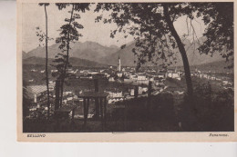 BELLUNO PANORAMA   VG  1925 - Belluno