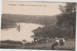 QUIMPER  LA RIVIERE LE VIRE COURT DU SAUT DE LA PUCELLE - Quimper