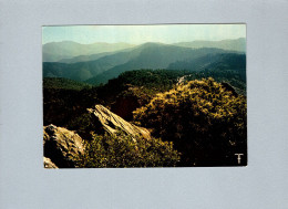 (30) : Corniche Des Cévennes... En Regardant Vers L'Aigoual - Autres & Non Classés