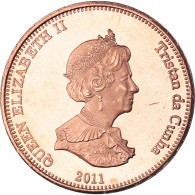 Monnaie, NIGHTINGALE ISLAND, 2 Pence, 2011, Île Nightingale., SPL, Cuivre - Saint Helena Island