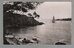 CPSM Dentelée - 83 - Agay - La Pointe Longue - Non Circulée - Saint-Raphaël