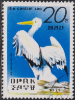 1979 Korea (Nord- ⵙ Mi:KP 1908, Sn:KP 1867, Yt:KP 1546, Sg:KP 1904, Dalmatian Pelican (Pelecanus Crispus) - Corea Del Norte