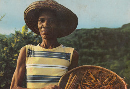Afrique  Seychelles   Le Femme Qui Confectionne Des Tuyaux De Cannelle - Seychelles