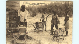 Afrique - Sénégal - Dakar - Industrie Indigène - Moulage De Briques - état - Senegal