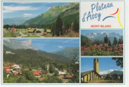 PLATEAU D ASSY, MULTIVUE  COULEUR REF 16725 - Autres & Non Classés