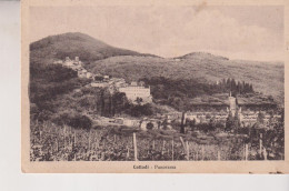 COLLODI  PISTOIA  PANORAMA  VG  1928 - Pistoia