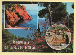 Provence-Alpes-Côte D'Azur : Souvenir De La Côte D'Azur / Paradis Méditerranéen / 3 Vues (animée) - Provence-Alpes-Côte D'Azur