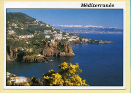 Provence-Alpes-Côte D'Azur : Méditerranée (voir Scan Recto/verso) - Provence-Alpes-Côte D'Azur