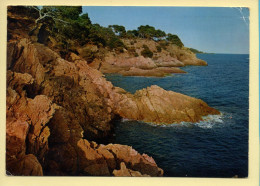Provence-Alpes-Côte D'Azur : La Méditerranée / Calanques Aux Reflets D'or (voir Scan Recto/verso) - Provence-Alpes-Côte D'Azur