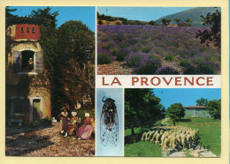 Provence-Alpes-Côte D'Azur : La Provence / 4 Vues / Fleurs / Moutons / Cigale (animée) - Provence-Alpes-Côte D'Azur