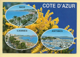 Provence-Alpes-Côte D'Azur : Côte D'Azur / 3 Vues / Mimosa (voir Scan Recto/verso) - Provence-Alpes-Côte D'Azur