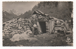 LES FYRÉNÉES  64  TYPES RÉGIONAUX  -  HAUTE MONTAGNE CABANE DE BERGER - Autres & Non Classés