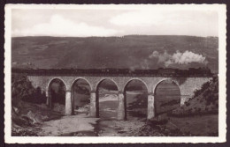 LANGOGNE LE PONT DES BRAS 48 - Langogne