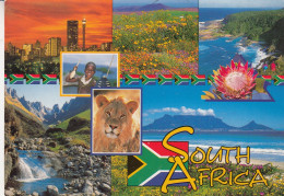 Afrique  Afrique Du Sud - Südafrika