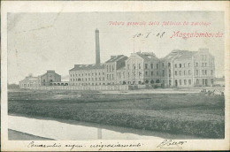 MASSALOMBARDA ( RAVENNA ) VEDUTA GENERALE DELLA FABBRICA DA ZUCCHERO - SPEDITA 1908 (20913) - Ravenna