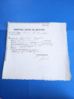 Belluno-ospitale Civile-mod.rr-9.4.1864 - Historical Documents