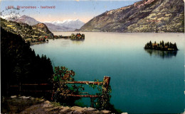 Brienzersee - Iseltwald (636) * 11. 7. 1920 - Iseltwald