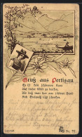 Lithographie Pertisau, Ortsansicht Aus Der Vogelschau, Frau In Tracht  - Autres & Non Classés