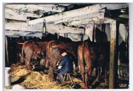 EN AUVERGNE - LA JOURNEE S'ACHEVE ( La Traiite Des Vaches ) Editions Rhéojac - IRIS N° 15/191 - Andere & Zonder Classificatie