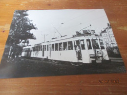 Foto Tram ,Ninove,  24 Cm X 18 Cm - Ninove