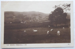 The Downs, Wroxall, I;W. - Other & Unclassified