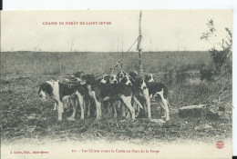 CHASSE EN FORET DE SAINT SEVER - Les Chiens Avant La Curée - Hunting