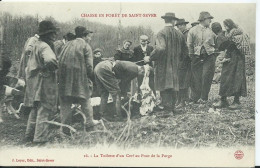 CHASSE EN FORET DE SAINT SEVER - La Toilette D'un Cerf - Caza