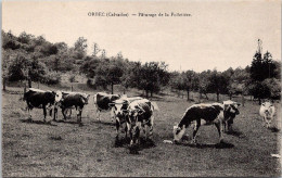 14 - ORBEC -  Enchères Départ 6.00€ Les 4 CPA, Seulement Sur Une Semaine. Date De Fin Le 16/04/2024 - Orbec