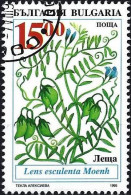 Bulgaria 1995 - Mi 4173 - YT 3618 ( Lentil ) - Vegetables