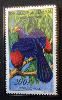 SENEGAL - Faune, Oiseaux, Touraco Violet - Y&T PA 33 - 1960 - MNH - Senegal (1960-...)