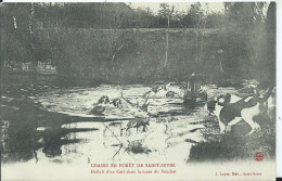 CHASSE EN FORET DE SAINT SEVER - Hallali D'un Cerf Dans La Mare Du Souchet - Caccia