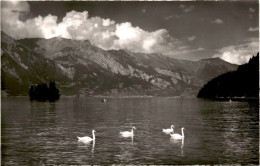 Iseltwald - Brienzersee Und Brienzer-Rothorn (2625) * 16. 7. 1952 - Iseltwald