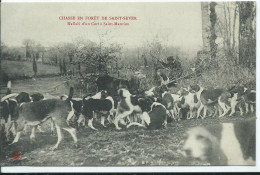 CHASSE EN FORET DE SAINT SEVER - Hallali D'un Cerf à Saint Manvieu - Hunting