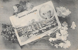 ANGERS    - ( 49 ) -  Souvenir - Angers