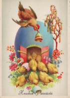 EASTER CHICKEN EGG Vintage Postcard CPSM #PBO866.A - Pasqua
